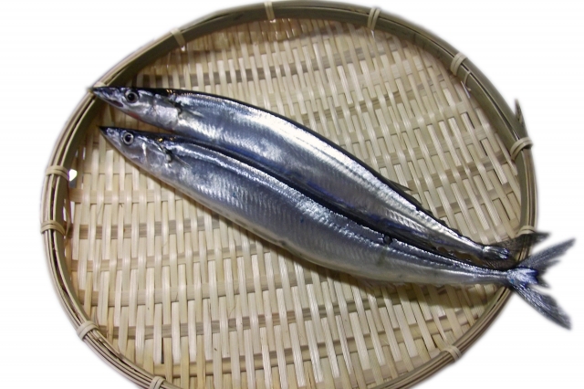 804bad526a5bd1565bd4a5a4a55345c4_s