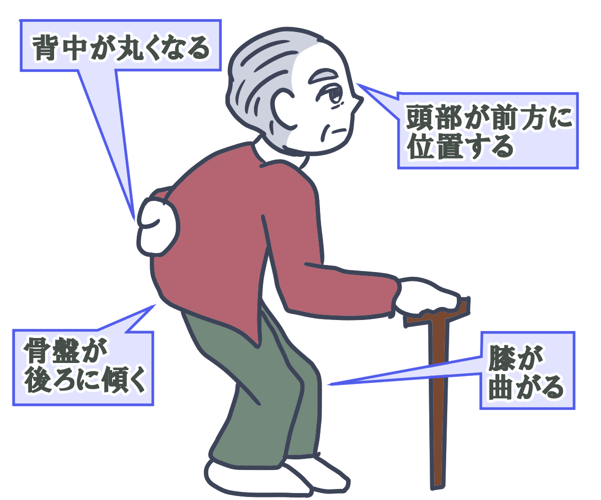 高齢者の姿勢